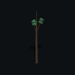 The same low poly oak, sapling