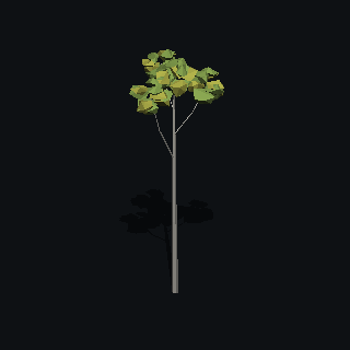 A low poly silver birch tree made with PolyMason
